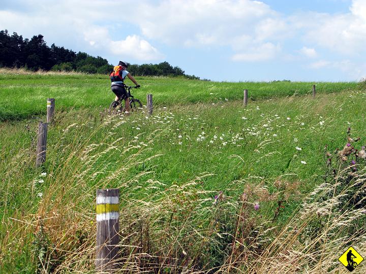 fota 120.jpg - Wyjazd na Pasmo Barnasiówki pośród łąk falujących na wietrze.